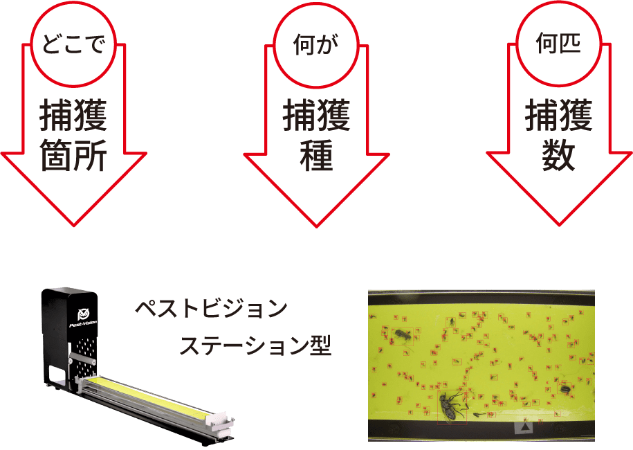ペストビジョンステーション型